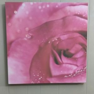 Wall Art Decor for home